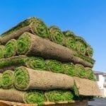 benefits of healthy sod in northern illinois